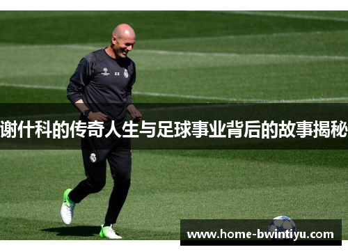 谢什科的传奇人生与足球事业背后的故事揭秘